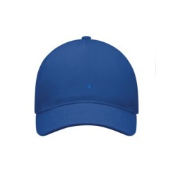 Sinine nokamüts ees minimalistlik EU lipp