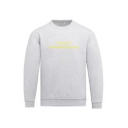 Hall pusa ees kollasega EU tähetriip ja kiri EUROPE