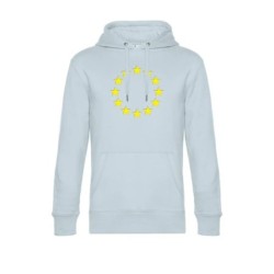 Helehallsinine kapuutsiga pusa ees suurelt kollasega EU tähering