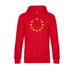 Punane kapuutsiga pusa ees suurelt kollasega EU tähering