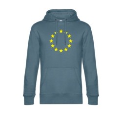 Tumehallsinine kapuutsiga pusa ees suurelt kollasega EU tähering
