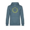 Tumehallsinine kapuutsiga pusa ees suurelt kollasega EU tähering