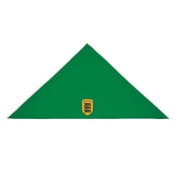 Roheline pearätt ESTONIA kirjaga keskel vapp-vimpel kolme lõviga