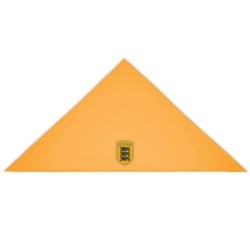 Kollane pearätt ESTONIA kirjaga keskel vapp-vimpel kolme lõviga